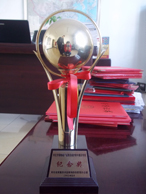 河北省暢銷產(chǎn)品防偽保護(hù)集中展示?？o(jì)念獎